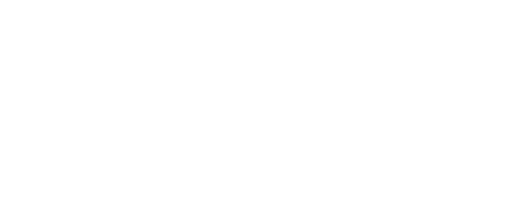 Skinsational Logo